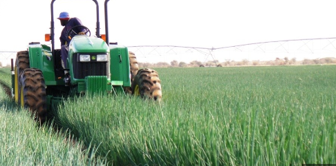 Global Mclien Software Solutions Farming