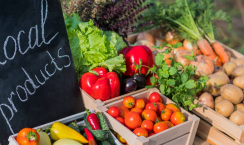 Global Mclien Software Solutions Farming